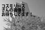 コスモ・リース／宮崎店