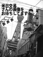 宮崎市の米日交易（株）